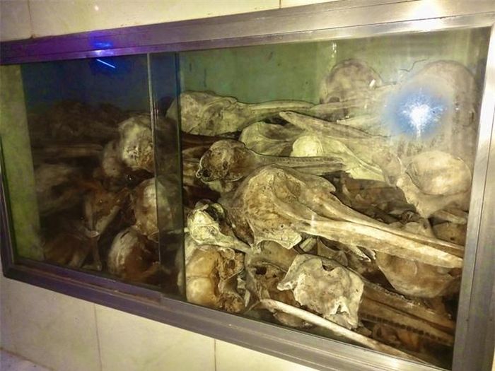 Ngư dân làng chài bao đời nay xem cá voi là hiện thân của linh thiêng, may mắn. Họ gọi tôn kính là cá Ông. Ở làng chài Phước Hải không mấy ai còn nhớ Nghĩa địa cá Ông được lập từ khi nào. Họ chỉ biết ngày còn rất nhỏ đã thấy cha mẹ thường đến thắp nhang trên mộ Ông trước mỗi chuyến ra biển.