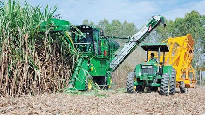 Cơ giới hóa giúp tăng năng lực cho ngành mía đường.
