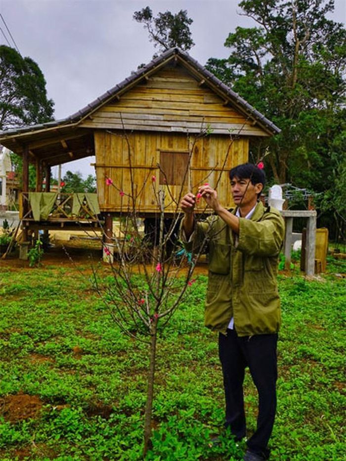 Anh Thi bên những cây đào Bắc đã bắt đầu ra hoa lác đác.
