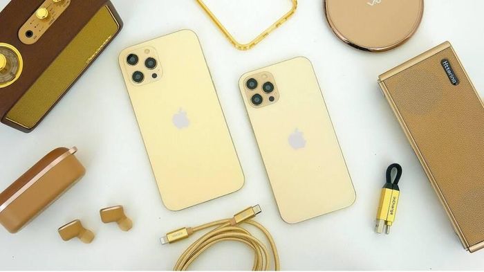 iPhone 12 Pro Max và iPhone 12 Pro. (Ảnh: TechDaily)
