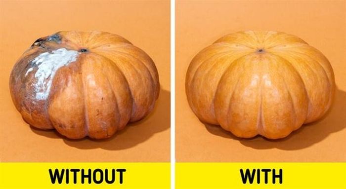 Xoa một ít dầu lên quả bí - mẹo bảo quản thực phẩm đơn giản, hiệu quả.