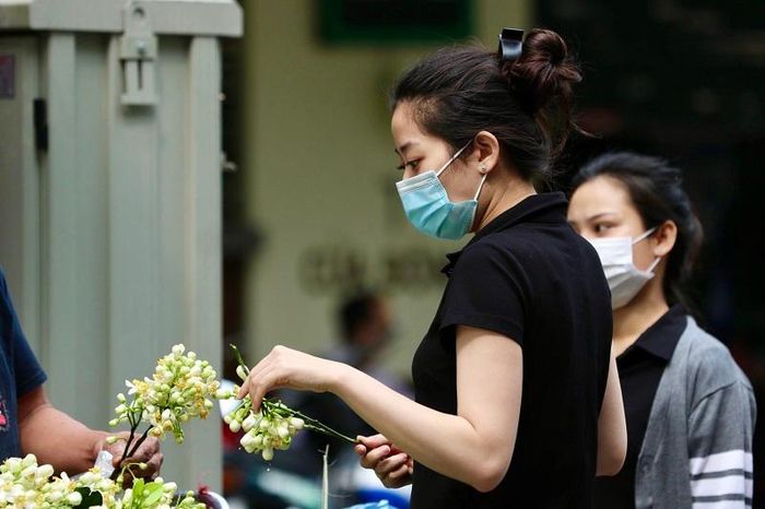Không chỉ khoe sắc khoe hương, hoa bưởi còn có nhiều công dụng. Nhiều người dân sử dụng hoa bưởi để tăng thêm hương vị cho những thức quà như ướp sắn dây, ướp mía, ướp trà và nấu chè.