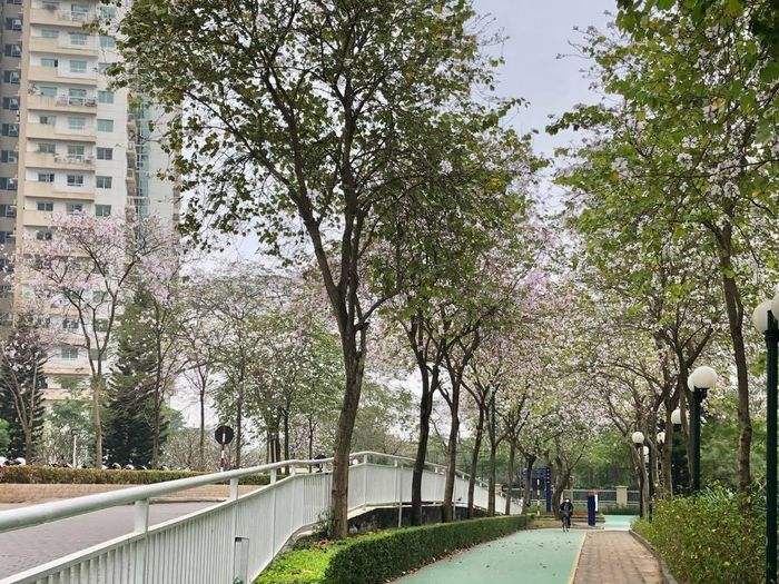 Và trên đây là một số tấm hình “chộp” được rải rác từ đầu mùa ban tới giờ, xin share với cả nhà, nhất là với các ACE vì dịch đã đã không thể đến tận nơi “thực mục sở thị” như đã hẹn…