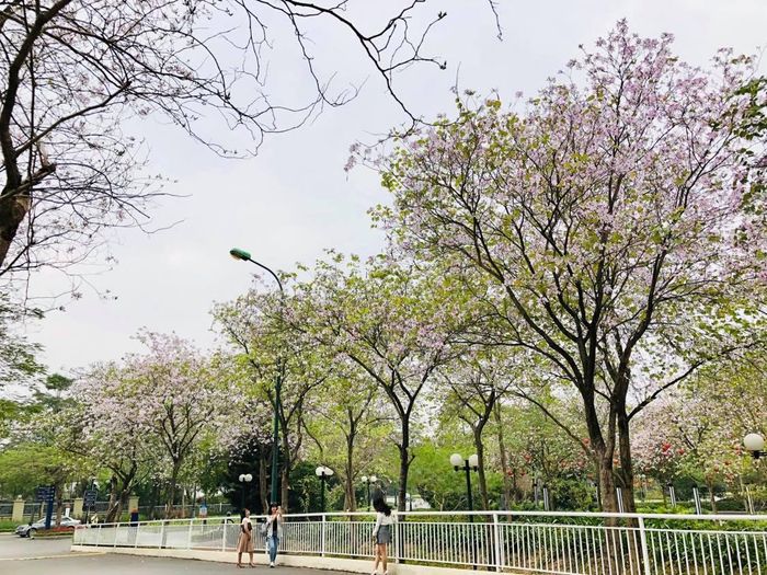 Và tất nhiên, trên các khung hình của người thưởng hoa…