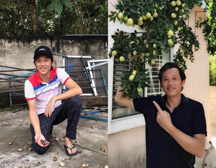 Ngoài item nón lá thì chiếc mũ lưỡi trai che nắng cũng thường xuất hiện trong trang phục của anh. Hoài Linh thường chỉ chọn áo polo - phiên bản lịch sự hơn của áo phông chui vì có thêm chiếc cổ bẻ. Chiếc cổ áo này còn như một mẹo thời trang nhỏ để che đi phần cổ lẫn xương ức gầy gò của người mặc.