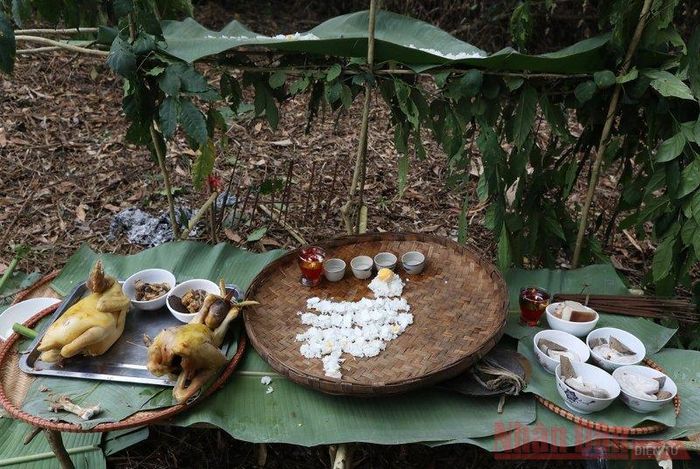 Lễ vật đơn sơ nhưng đậm tính linh thiêng của người Pu Péo dâng lên thần rừng. (Ảnh: Ngọc Thành).
