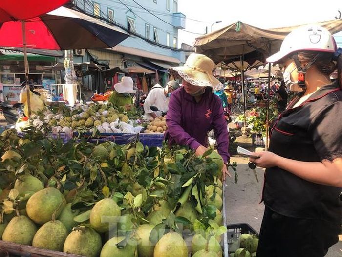 Bưởi cúng nguyên cành có giá từ 50.000-70.000 đồng/kg. Theo giới buôn bưởi, những trái bưởi từ 3-4kg mới có nhiều nước, ăn ngon; còn loại từ 1-1,5kg đa số là bưởi non, chỉ cúng cho đẹp chứ không ăn được.
