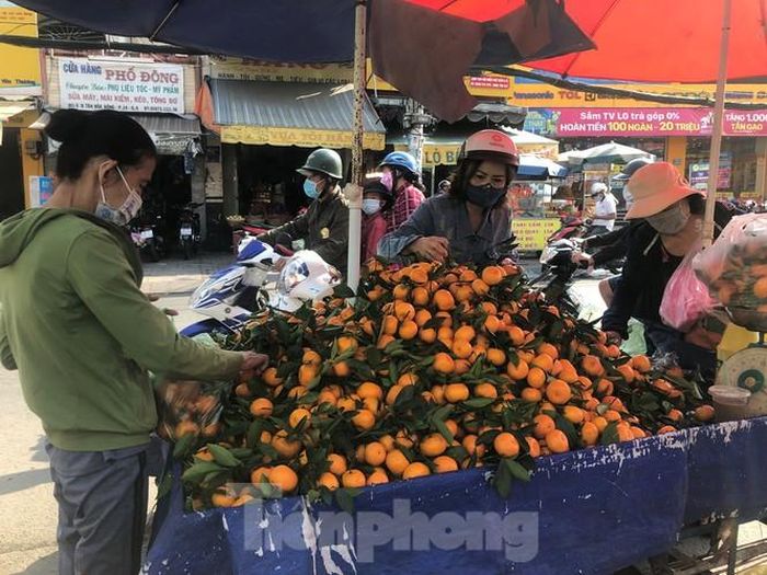 Quýt Thái có già từ 40.000-50.000 đồng/kg đắt khách bởi màu vàng bắt mắt khi bày trên bàn thờ.
