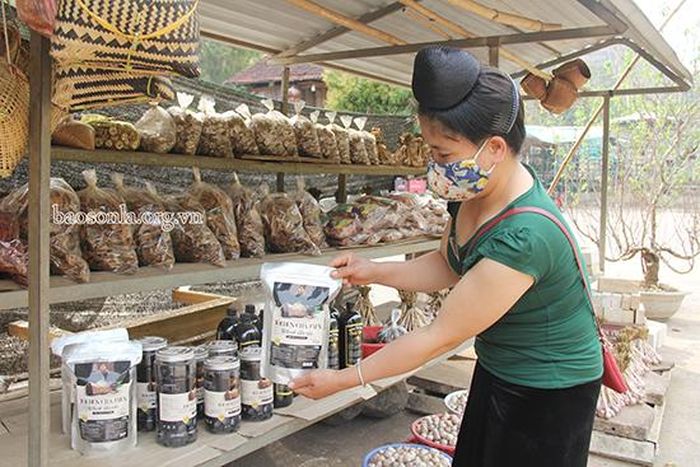 Tỏi Chiềng Đông trở thành mặt hàng đặc sản của xã được nhiều hộ dân bày bán ven quốc lộ 6