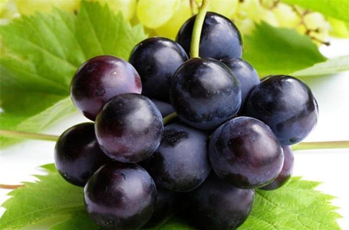 Nho tươi: Nho là loại quả chứa rất nhiều các loại vitamin, có tác dụng ngăn ngực chảy xệ, nhão do thời gian. Nho bóc vỏ bỏ hạt, cà chua bỏ vỏ rồi ép thành nước, uống đều đặn mỗi ngày có thể cải thiện nội tiết tố, giúp nở ngực hiệu quả.