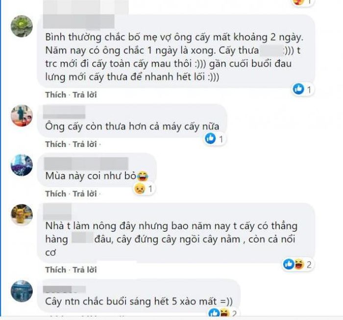 Cư dân mạng cho rằng năm nay nhà bố mẹ vợ của chàng trai sẽ mất mùa.