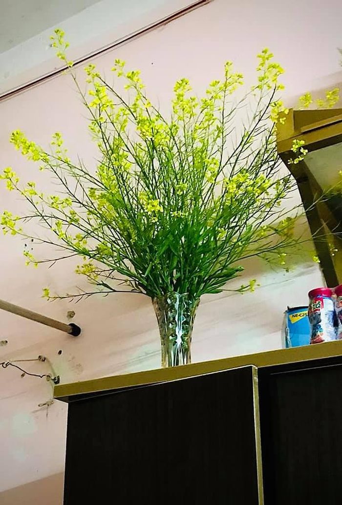 Mùng 8/3, tặng bạn gái bó hoa này liệu có bị giận không các bác?