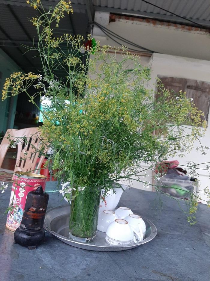Bạn gái được tặng bó hoa cỏ mùa xuân này không biết nên vui hay buồn