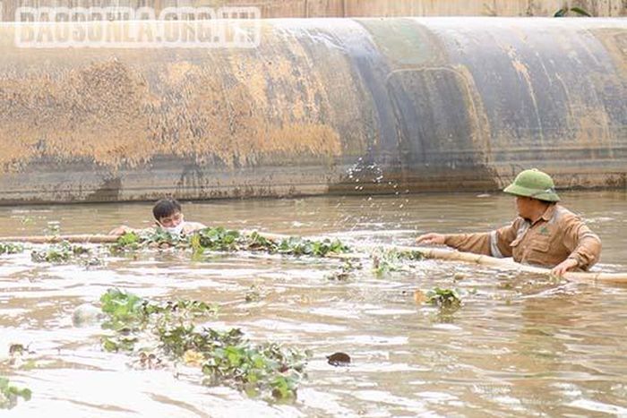 Vận dụng mọi phương tiện có thể để vớt rác.