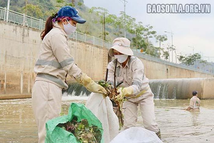 Ưu tiên không phải lội ra khu vực nước sâu, các nữ công nhân thu gom rác gần ven bờ.
