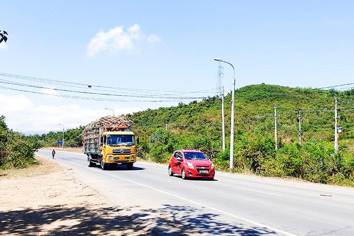  Xe chở mía cồng kềnh trên Quốc lộ 26 (ảnh chụp ngày 2-3). 