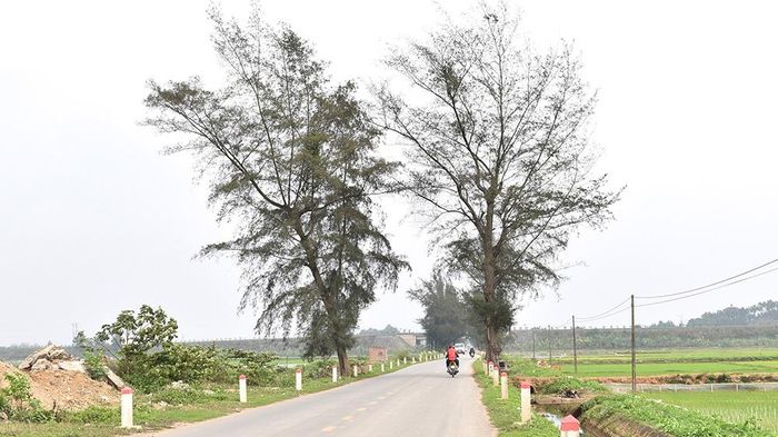 Đường trục thôn được cứng hóa, đảm bảo đi lại thuận tiện
