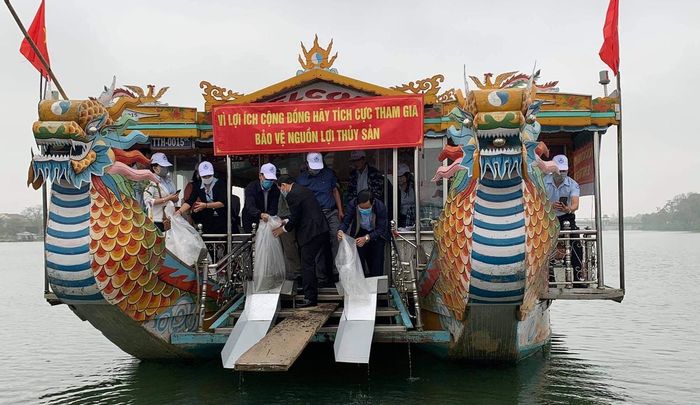 Thả cá xuống sông Hương.