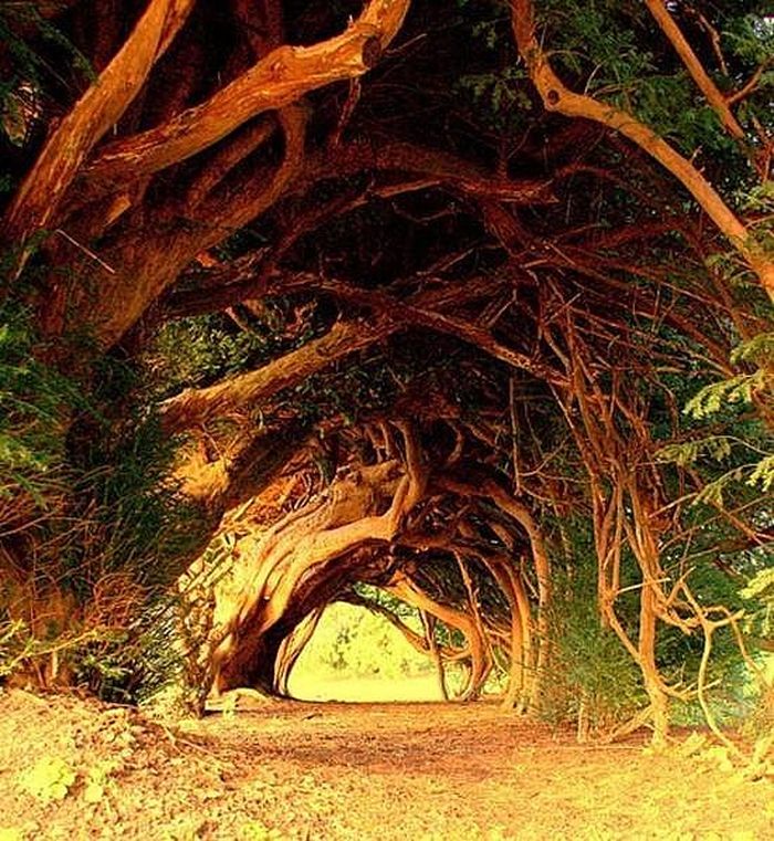 Wales, Anh