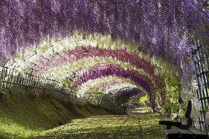 Tochigi, Nhật Bản