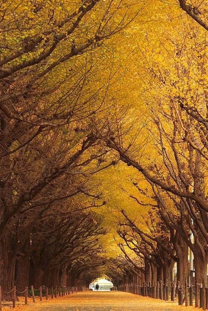 Minato, Tokyo, Nhật Bản