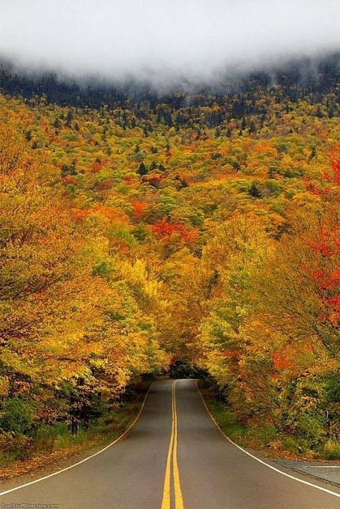 Vermont, Hoa Kỳ