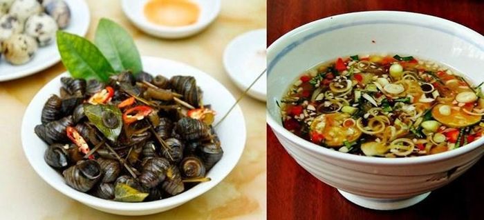Ốc được chế biến thành nhiều món ăn ngon, bổ dưỡng.
