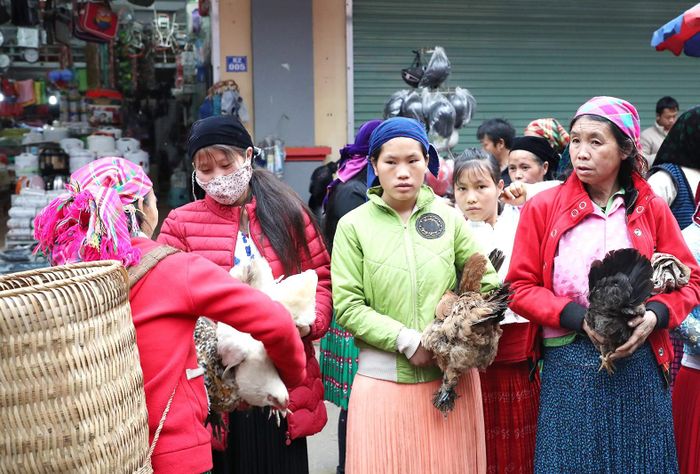 Gà bản luôn có giá cao gấp vài lần dưới xuôi