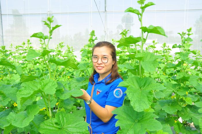 Chị Nguyễn Phượng Thư, Phó Giám đốc Trung tâm Hỗ trợ Thanh niên Khởi nghiệp An Giang. Ảnh: Hòa Hội 