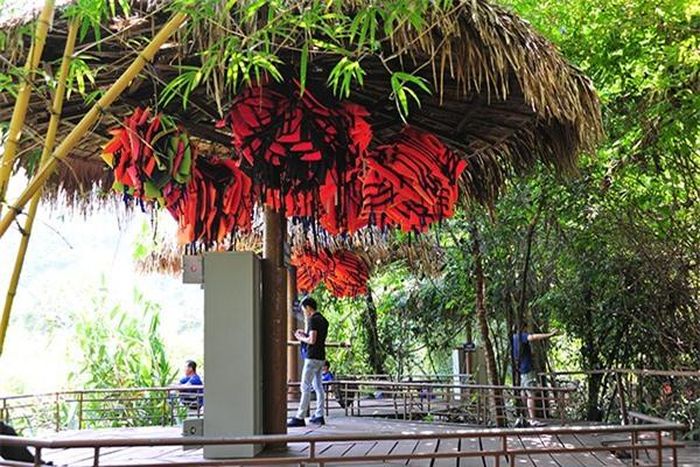 Mặc áo phao khi trải nghiệm dịch vụ vui chơi, giải trí tại suối Nước Moọc là điều bắt buộc.