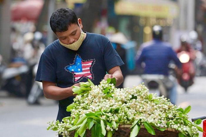 Hoa bưởi xuống phố, lan tỏa hương thơm nồng nàn khắp các phố phường Hà Nội