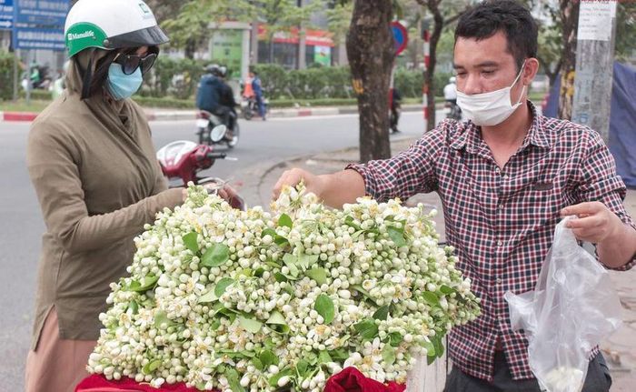 Chẳng cần tiếng rao bởi hương thơm của hoa đã tựa như một lời mời gọi người dân tìm đến
