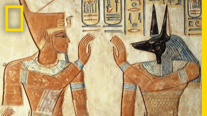 Ví dụ như để tôn vinh thần Anubis, người Ai Cập thời cổ đại ướp xác hàng trăm con chó.