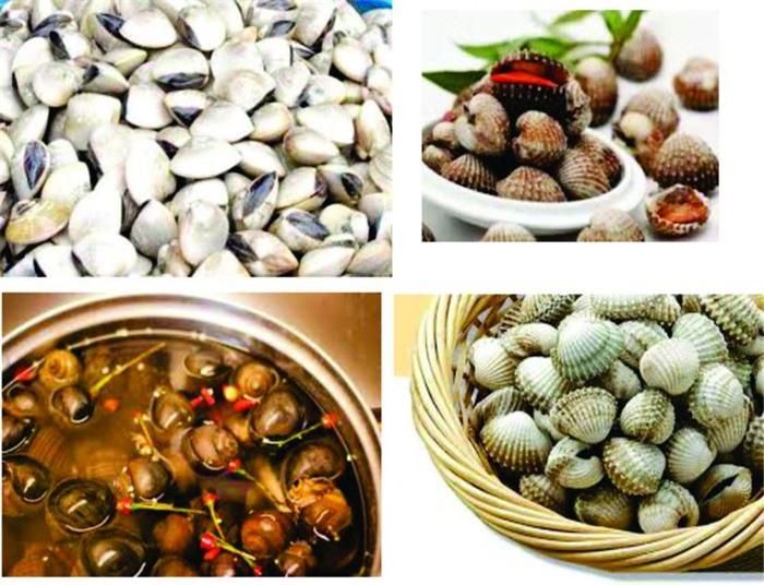  Bỏ ớt vào ngâm ngao ốc sạch cát.