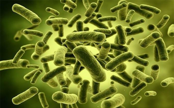 Sử dụng chế phẩm sinh học: Probiotics là vi khuẩn có lợi làm khỏe đường ruột, tăng cường hệ thống miễn dịch và cải thiện chức năng da.
