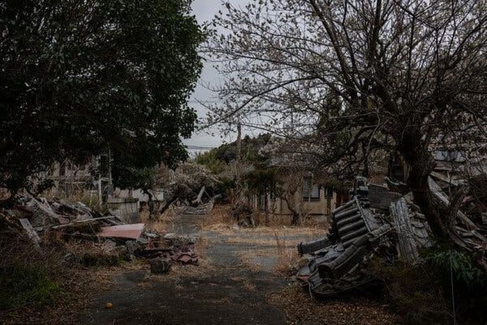 Một số khu rừng ở Fukushima, các nhà khoa học đã tìm thấy bằng chứng về bức xạ còn tồn tại. Ảnh: The New York Times 