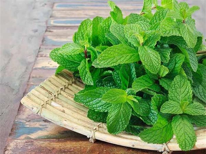 Lá bạc hà là một loại thảo mộc tự nhiên sẽ chữa lành nhiễm trùng, viêm hoặc bất kỳ kích ứng da nào. Lấy một ít lá bạc hà tươi cho vào máy xay sinh tố say với một ít nước. Thoa hỗn hợp này lên trên khuôn mặt của bạn và để nó trên trong 20 phút. Sau đó rửa sạch với nước sạch.