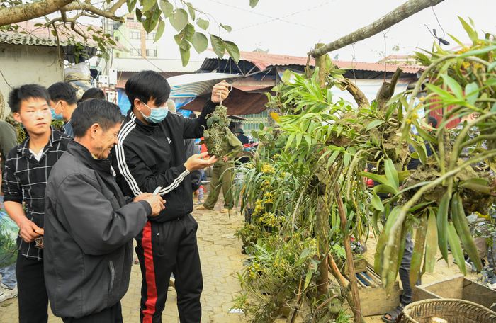 Các du khách mừng rỡ khi “săn” được những giò phong lan quý của rừng. 