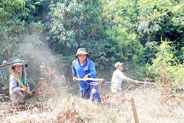 Người dân phát quang, thu dọn thực bì tạo đường băng cản lửa chống cháy rừng
