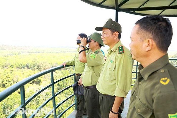 Lực lượng kiểm lâm Suối Kốp quan sát trên chòi canh gác rừng