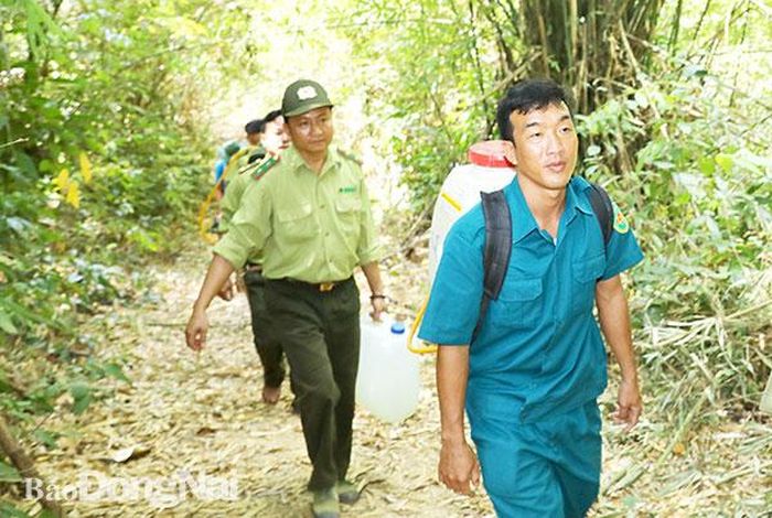 Lực lượng kiểm lâm băng rừng đi tuần tra