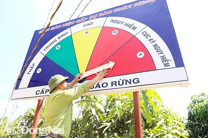 Mức độ cảnh báo cháy rừng đang ở cấp cực kỳ nguy hiểm