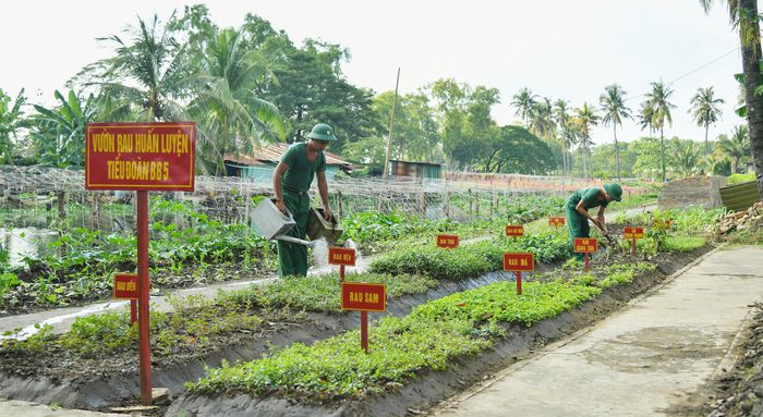 Mô hình “vườn rau huấn luyện” được triển khai ở Tiểu đoàn 5, Trung đoàn 20.