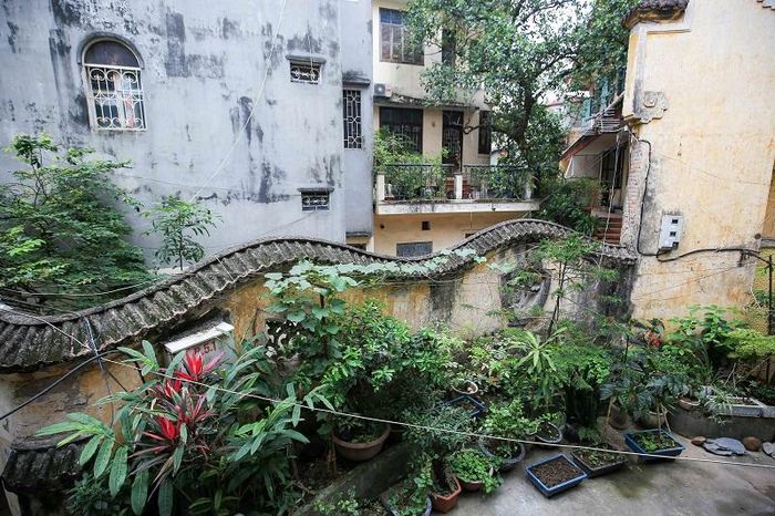 Ngoài ra, dinh thự có một vườn thượng uyển rộng hơn 300m2 ở phía trước với nhiều cây quý, được bao quanh bởi tường rào hình con rồng uốn lượn.