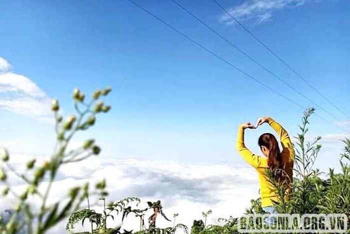 Một cô giáo tranh thủ chụp ảnh với biển mây.