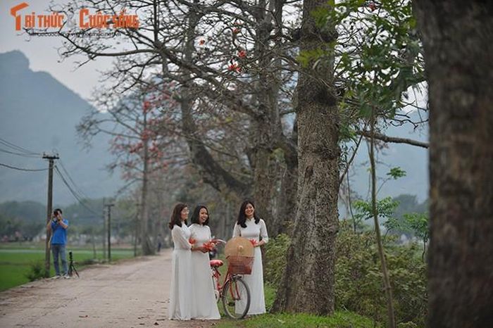 Các chị em xúng xính áo dài tranh thủ đến thôn Đoan Nữ để ghi lại cho mình những bức ảnh tuyệt đẹp bên hoa gạo tháng 3