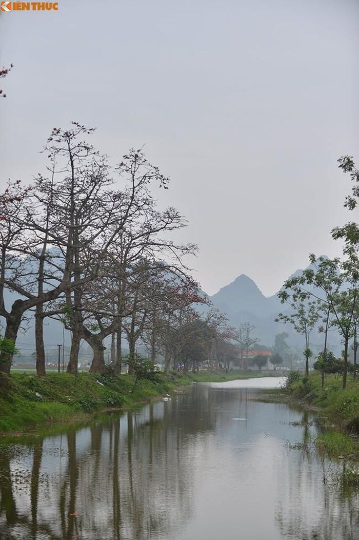 Một dòng sông nhỏ bên cạnh ra những cây hoa gạo tạo ra một nét giản dị và bình yên.