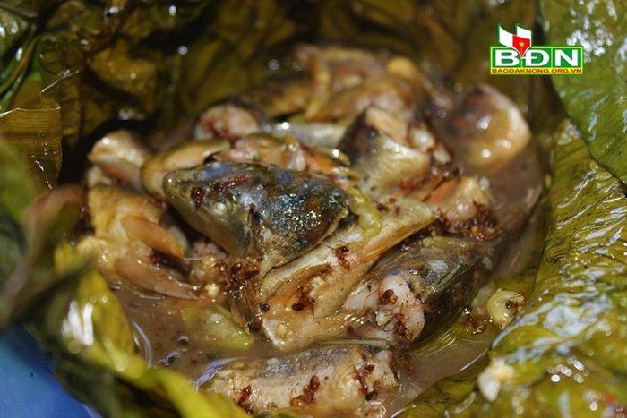 Món cá suối - kiến vàng có hương vị đặc biệt, lạ miệng, giúp kích thích nhiều giác quan