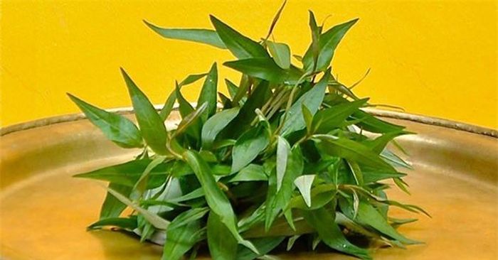  Rau răm là 1 trong3 loại rau cấm kỵ không được ăn cùng thịt gà.