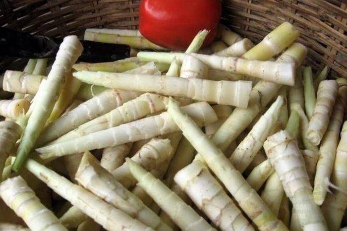Người Kon Tum hay ăn cay nên măng lúc nào cũng phải có vị chua cay vừa đủ. Có khi còn cho thêm cả ớt vào món xôi măng nữa.